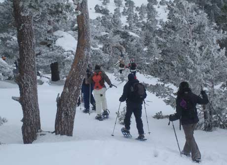 Un grupo de excursionistas disfrutan de la nieve en La Ragua.